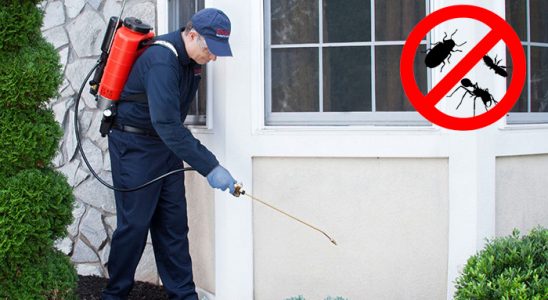 Çerkezköy Pire İlaçlama böcek ilaçlama ve haşere kontrolü — ilaclama-tr.com